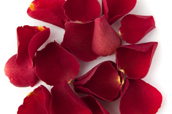 Rose Petals -