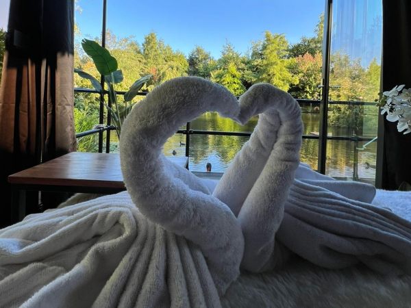 Swan Towels with a View at the Cruiser