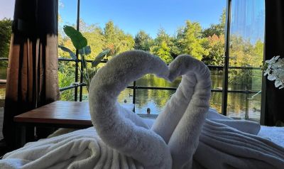 Cruiser Towel Swans with View