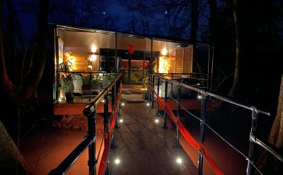 The Walkway to the Cabin