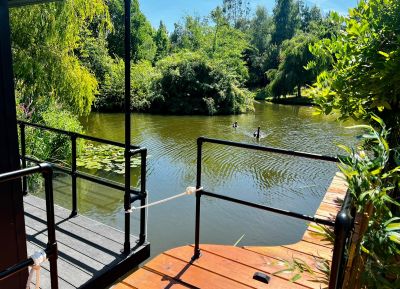 The Cruiser Lake Views with Swan