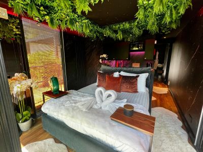 Cruiser Bed with starlight and plant feature ceiling