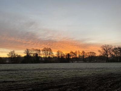 The surrounding Fields of Secret Cabins