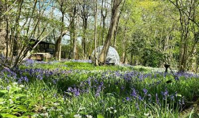 The Cabin in Spring
