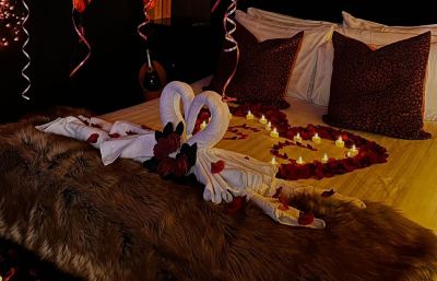 Swan towels with petal and heart bed design in The Crib