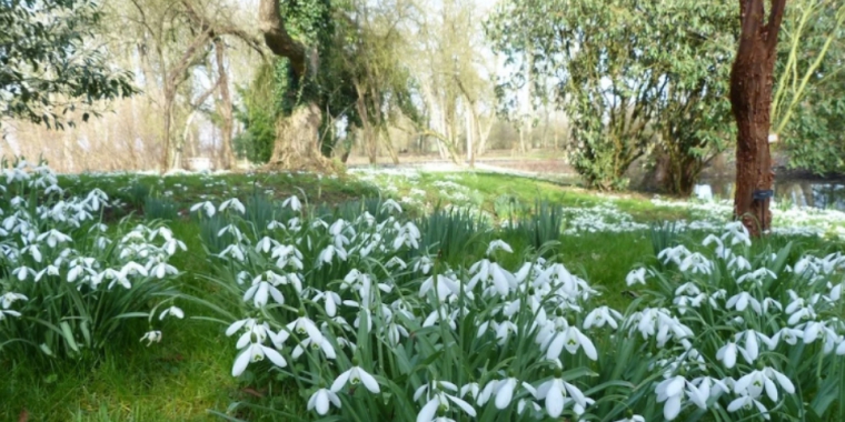 Spring is here and so is the Copper Crib!